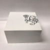 iceLink ICELINK-AM1MPSL4D - New, With Box, Manual and Papers Included<br /> - 17